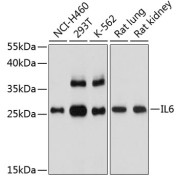 abx136154