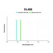Fluorescence emission spectra of DL 488.