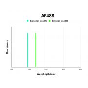 Fluorescence emission spectra of AF488.