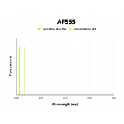 Fluorescence emission spectra of AF555.
