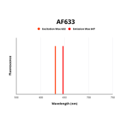 Fluorescence emission spectra of AF633.