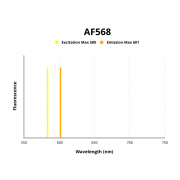 Fluorescence emission spectra of AF568.
