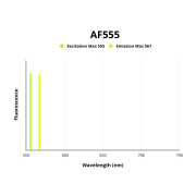 Fluorescence emission spectra of AF555.