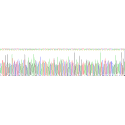 Human A Disintegrin And Metalloprotease 17 (ADAM17) Protein