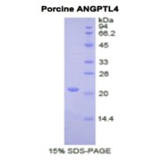 abx065340