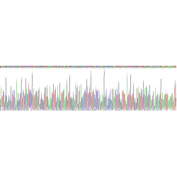 Human Annexin A5 (ANXA5) Protein