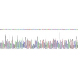 Mouse Apolipoprotein M (APOM) Protein