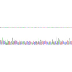 Human Bone Morphogenetic Protein 15 (BMP15) Protein