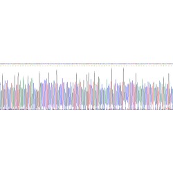 Human Mucin-16 (MUC16) Protein