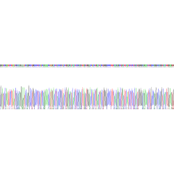 Mouse Cardiotrophin Like Cytokine Factor 1 (CLCF1) Protein