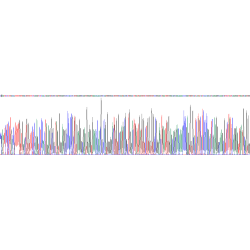 Rat CD5 Antigen Like Protein (CD5L) Protein
