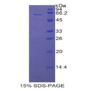 abx065844