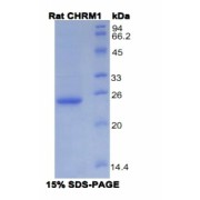 abx065881
