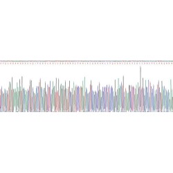 Mouse Complement Fragment C3a (C3a) Protein