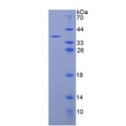 abx066057