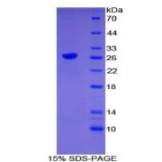 abx066159