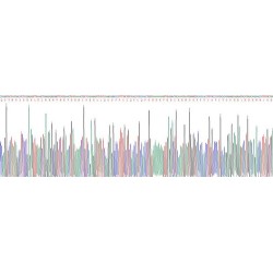 Mouse TNF Receptor Superfamily Member 6 / CD95 / TNFRSF6 (FAS) Protein