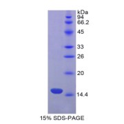 abx066487