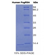 abx066541