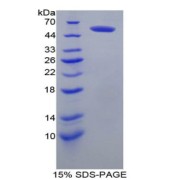abx066543
