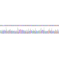 Chicken Fibronectin (FN1) Protein