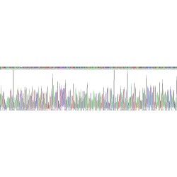 Mouse Glutathione Peroxidase 4 (GPX4) Protein