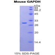 abx066863