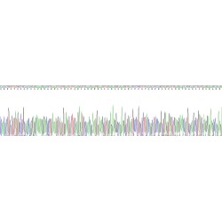 Chicken Progonadoliberin 1 (GNRH1) Protein