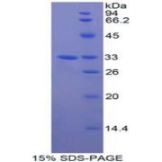 abx066918