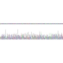 Human Growth Differentiation Factor 15 (GDF15) Protein