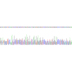 Rat Growth Differentiation Factor 15 (GDF15) Protein