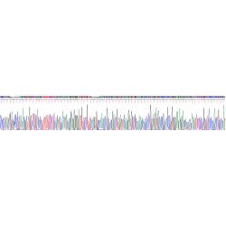 Human Kininogen 1 (KNG1) Protein