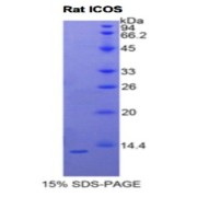 abx067184
