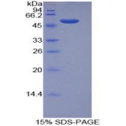 abx067275