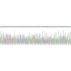 Mouse Integrin Beta 1 (ITGb1) Protein