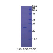 abx067336