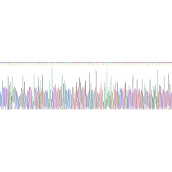 Human Interleukin 1 Receptor Antagonist (IL1RN) Protein