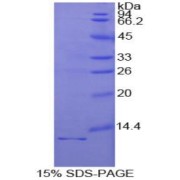 abx067414