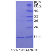 abx067417