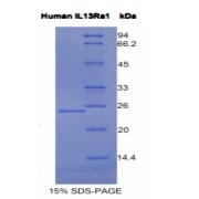 abx067443