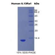 abx067444