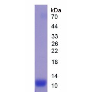 abx067445