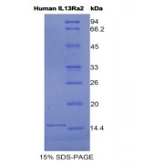 abx067446