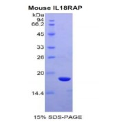 abx067491