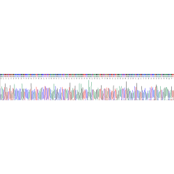 Mouse Interleukin 2 Receptor Alpha (IL2RA) Protein
