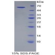 abx067649