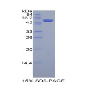 abx067653