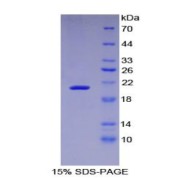 abx067766
