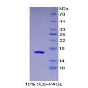 abx067772