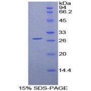 abx067776
